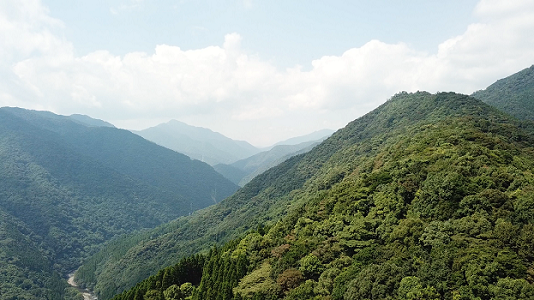“Toyobo Aya-no-Mori” forest