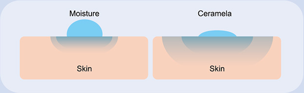 CERAMELA has high-affinity to human skin