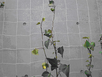 Dyneema® yarn netting used as plant-rearing nets