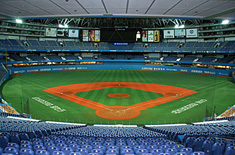 Backstop net