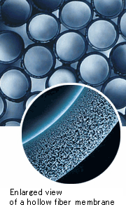 Enlarged view of a hollow fiber membrane