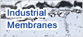 Industrial Membranes