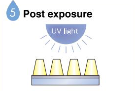 5 Post exposure