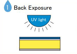 1 Back Exposure