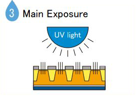 3 Main Exposure