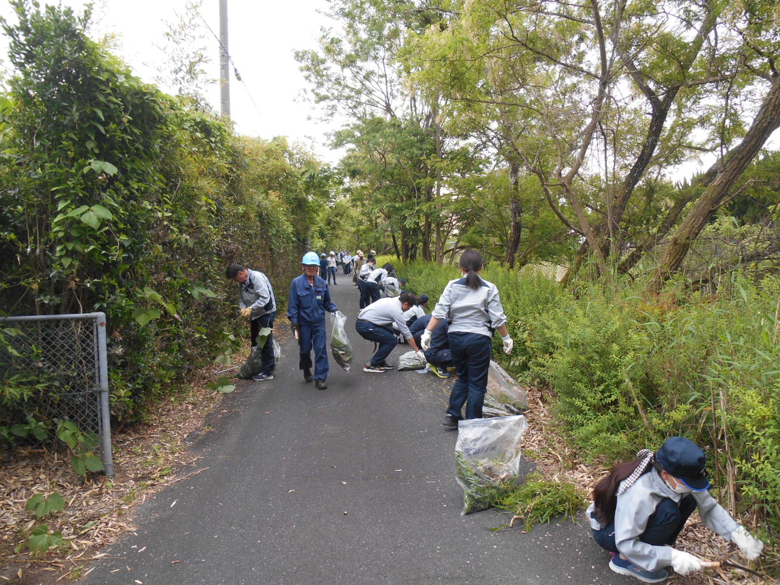 Scene from a cleanup activity