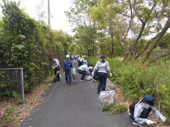 A scene from the cleanup activity