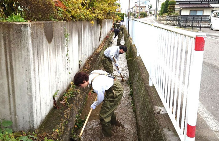 A scene from the cleanup activity