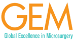 GEM Global Excellecnce in Microsurgery