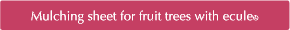 Mulching sheet for fruit trees with ecule