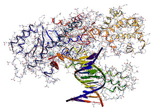 Enzymes for PCR