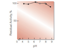 Fig.6. pH-Stability