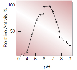 Fig.2. pH-Activity