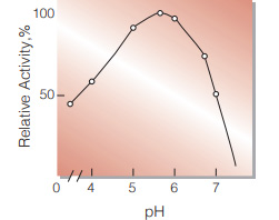 Fig.4. pH-Activity