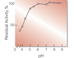 Fig.6. pH-Stability