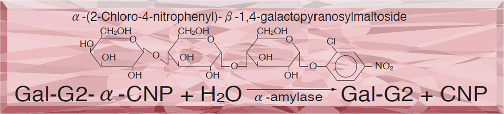 Gal-G2-α-CNP for Amylase substrates