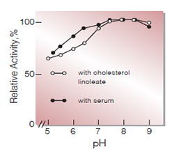 Fig.4. pH-Activity