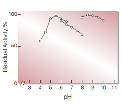 Fig.4. pH-Stability