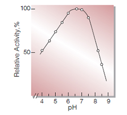 Fig.3. pH-Activity