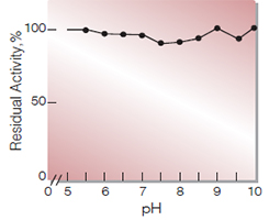 Fig.6. pH-Stability