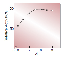 Fig.4. pH-Activity