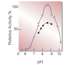 Fig.3. pH-Activity