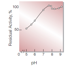 Fig.5. pH-Stability