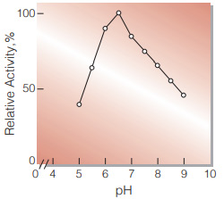 Fig.3. pH-Activity