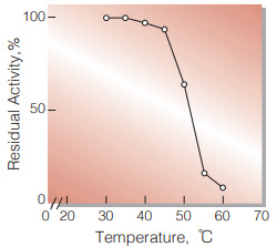 Fig.6. Thermal stability