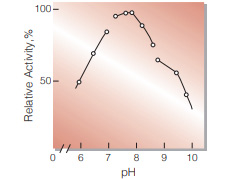 Fig.4. pH-Activity