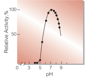 Fig.2. pH-Activity