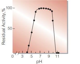 Fig.4. pH-Stability