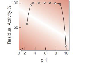Fig.5.pH-Stability