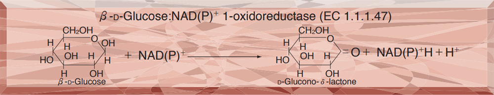 GLUCOSE DEHYDROGENASE