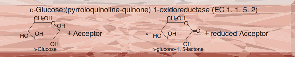 GLUCOSE DEHYDROGENASE