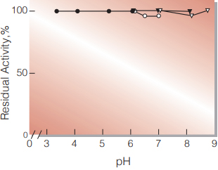 Fig.4. pH-Stability