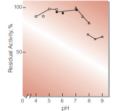 Fig.5. pH-Stability