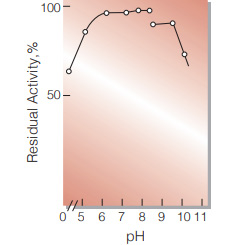 Fig.7. pH-Stability