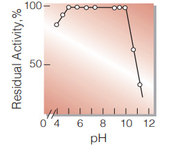 Fig.6. pH-Stability