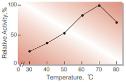 Fig.3. Temperature activity