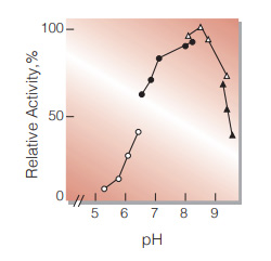 Fig.3. pH-Activity