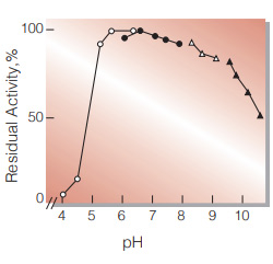 Fig.5.pH-Stability