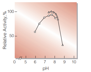Fig.3. pH-Activity