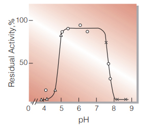 Fig.5. pH-Stability