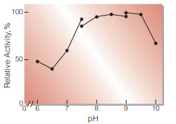 Fig.2. pH-Activity