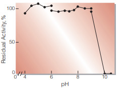 Fig.4. pH-Stability