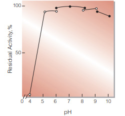 Fig.5. pH-Stability