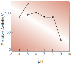 Fig.2. pH-Activity