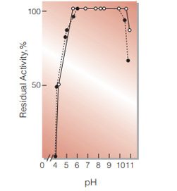 Fig.5. pH-Stability