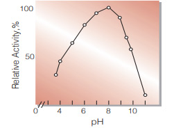 Fig.4. pH-Activity